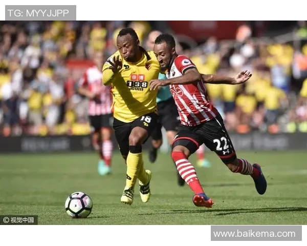 南安普顿主场迎战沃特福德新浪解说精彩回顾与分析